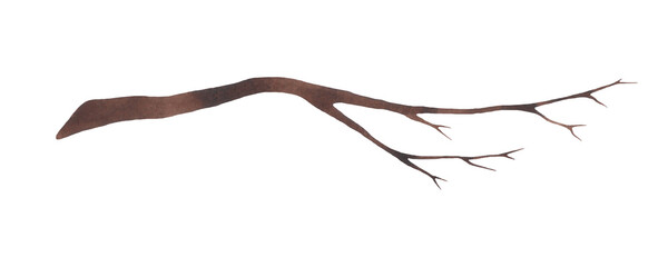 Fototapeta premium A branch from a tree, empty, bare without leaves, isolated on a white background. Drawn by hand. Element for design and decoration. Texture of watercolor on paper.