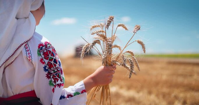 Girl in traditional ethnic folklore costume with Bulgarian embroidery standing on a harvest golden wheat field