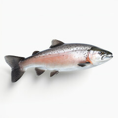Salmon fish on white background. 3D illustration digital art design, generative AI