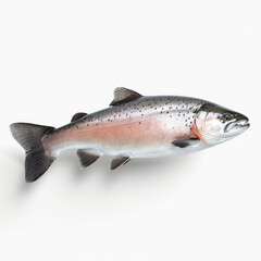 Obraz premium Salmon fish on white background. 3D illustration digital art design, generative AI