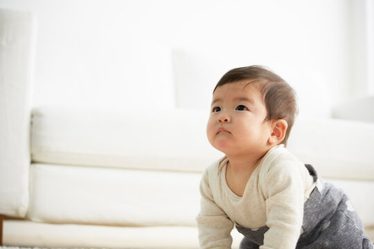 白で統一した部屋ではいはいをする赤ちゃん