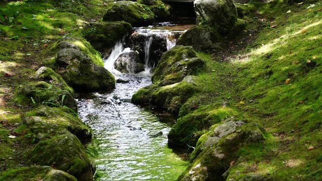 千歳市の名水ふれあい公園の水の流れ