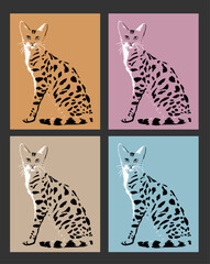 Set of spotted serval cat on colored background