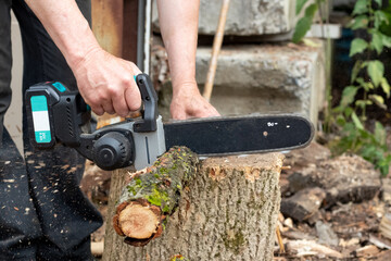 A worker cuts a tree branch with a portable cordless chainsaw