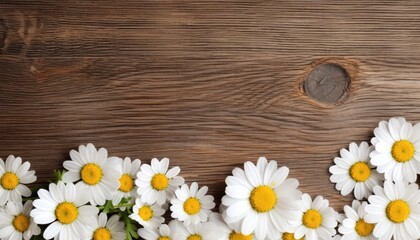 Obraz premium Chamomile flowers on wooden background. Top view with copy space