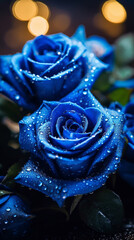 Bright blue roses with water droplets
