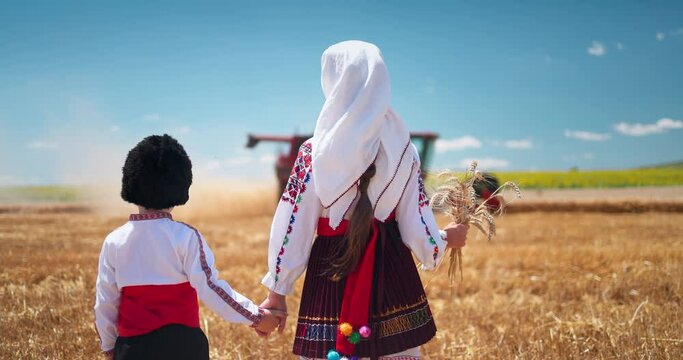 Bulgarian boy and girl in folklore costume working on harvest golden wheat field with harvester machine. Bulgaria 4K video