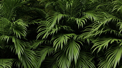 Fototapeta na wymiar Green leaves tropical palm tree, background. Tropical jungle. 3d render