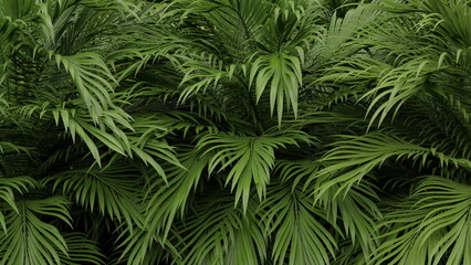 Naklejka na ściany i meble Green leaves tropical palm tree, background. Tropical jungle. 3d render