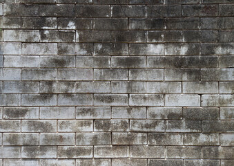 Old vintage white brick wall texture background. Grunge brick wall texture. 
