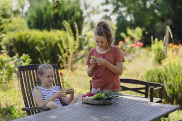 two girls in the summer garden behind the house eating vegetables