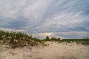 Sand dunes at Assateague Beach in Virginia.