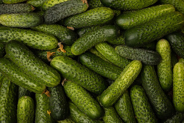 Close up of fresh cucumbers