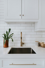 White kitchen with brass sink and home styling