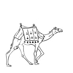 Walking camel with saddle line sketch, Isolated desert animal hand drawn illustration