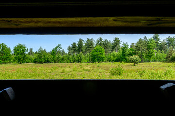 Panorama photo in spring from a bird house of a green grass landscape in a national park in Belgium. With trees in the background with a blue sky.
