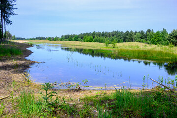 Clear landscape photo : A lake with green grass in the forest with blue clear sky. This used to be an airport.