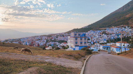 Motorcycle trip across Morocco