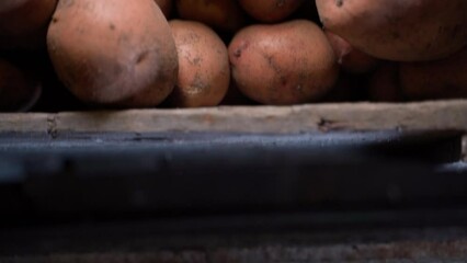 Boxes with harvested potatoes in the dark. Dollar bill on a potato in a warehouse. Rise in the price of vegetables
