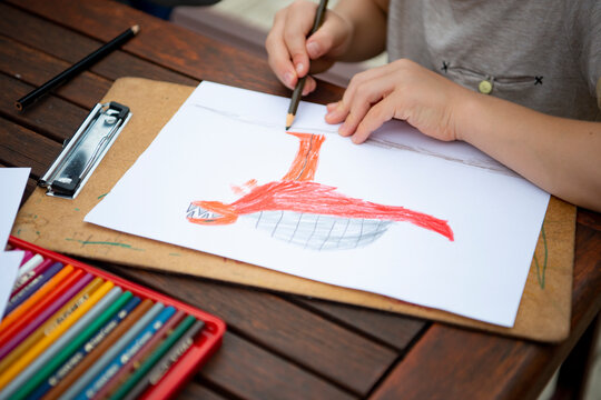 恐竜の絵を描いている子供の手元