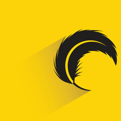 feather with shadow on yellow background