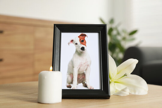 Pet funeral. Frame with picture of dog, burning candle and lily flower on wooden table indoors
