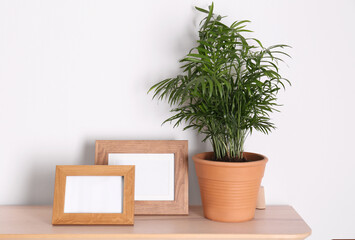 Wooden shelf with beautiful green houseplant and photo frames on white wall