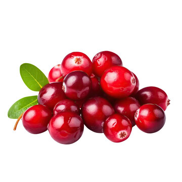 Cranberry, isolated on transparent background.