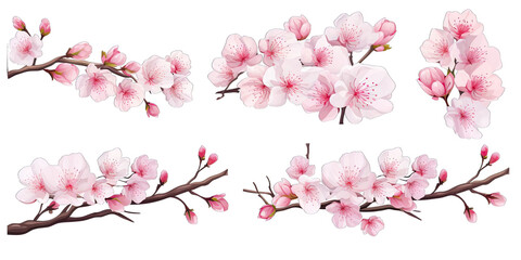 Cherry blossom flowers and branches set 12