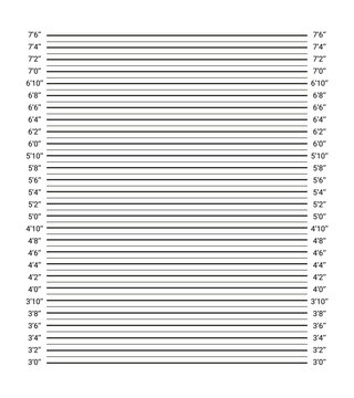 Criminal wanted picture with lines in inches. Measuring concept. Mugshot board. Police mug shot background. Wall measurements template. Lineup backdrop. Vector illustration. Identification frame