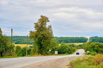 Fototapeta na wymiar Travelling by car. Asphalt road among summer fields of green plantings