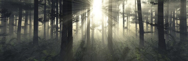 Silhouettes of trees on a light background, fog in the forest, morning park in the sun, 3d rendering
