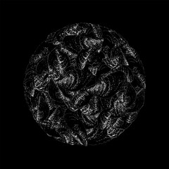 zebra mussels circle hand drawing vector isolated on black background.
