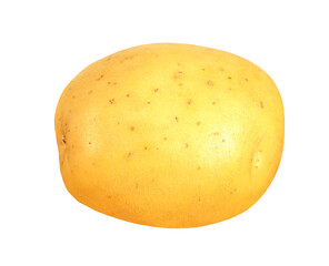 Fresh potato, transparent background