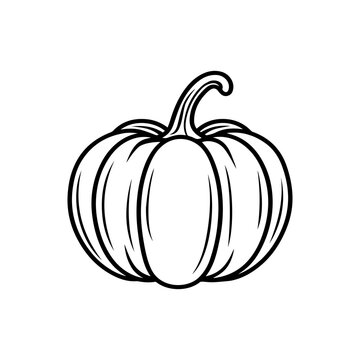 Thanksgiving Day pumpkin silhouette, isolated on white background. Vector illustration, traditional Halloween decorative element. Halloween silhouette black pumpkin sketch.
