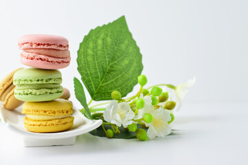 colorful macaroons on white background