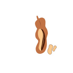 Tamarind fruit, tropical exotic food