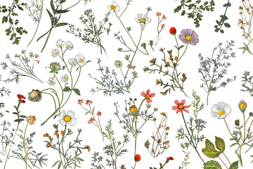 dainty wildflowers as a frame border - obrazy, fototapety, plakaty