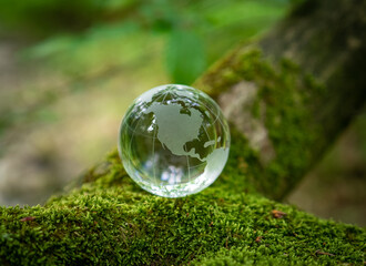 glass earth globe in forest