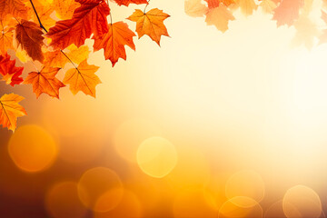 Naklejka na ściany i meble Autumn banner with orange fall leaves. Nature background with copy space. Selective focus and bokeh effect.