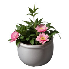 Naklejka premium Pink flowers in a pot, isolated, transparent background, no background. PNG. Generative AI.
