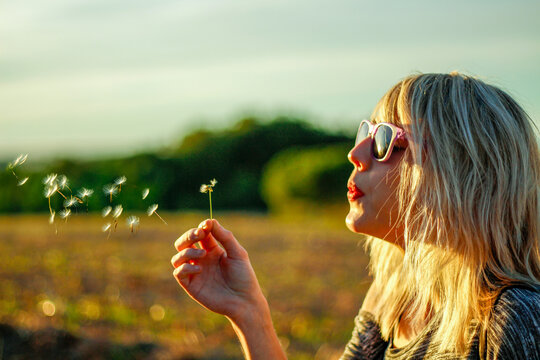 rubia en campo de trigo 