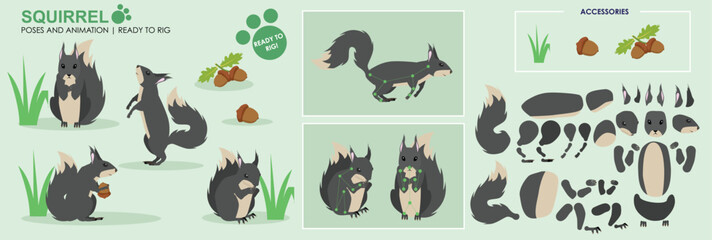 Naklejka premium Grey Squirrel ready to animate with multiple poses and angles. Cut woodland creatures rig ready, running, sitting, eating. Collection vector set character for animation