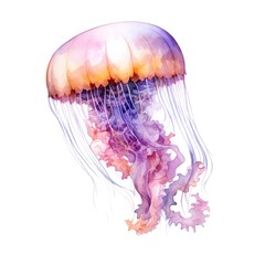 Obraz na płótnie Canvas Watercolor Jellyfish on white background Generative AI