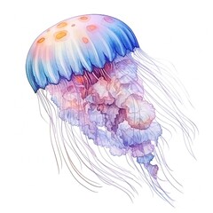Fototapeta premium Watercolor Jellyfish on white background Generative AI