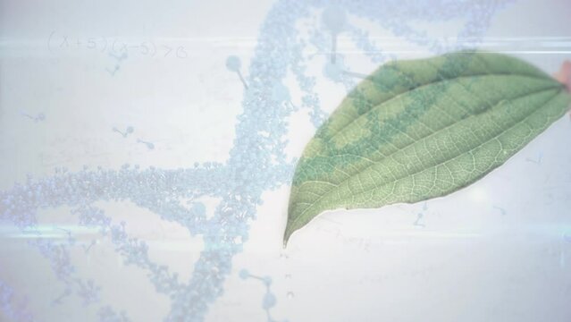Animation of dna strand spinning over leaf