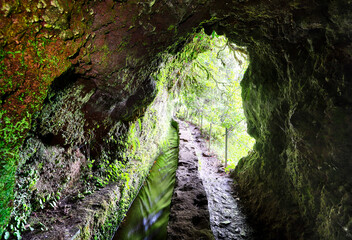 Fototapeta na wymiar Tunnel on Levada do Caldeirão Verde and Caldeirão do Inferno