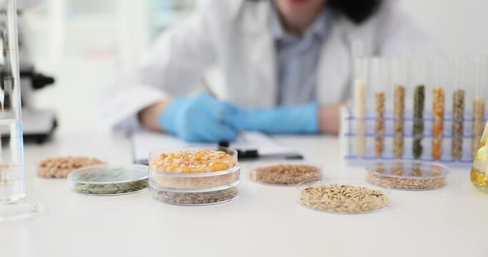 Laboratory for analysis of food products of buckwheat corn. Study of cereals and GMO