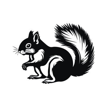 black and white squirrel illustration logo