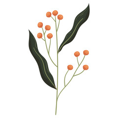 Autumn forest berry on twig with leaf illustration
